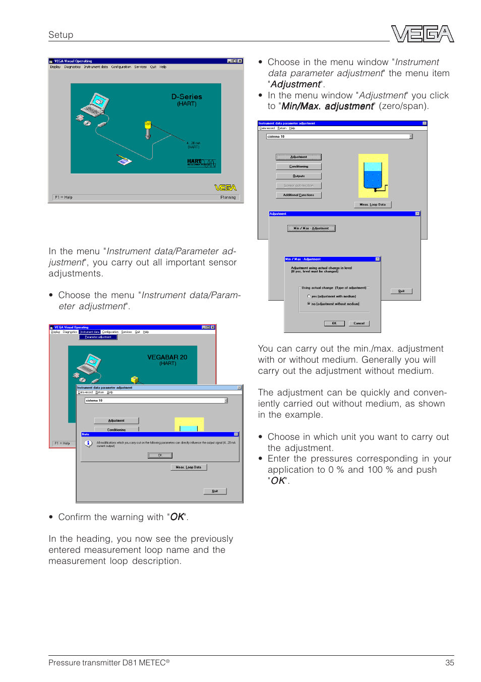 VEGA D81 METEC Hydrostatic pressure transmitter User Manual | Page 35 / 44