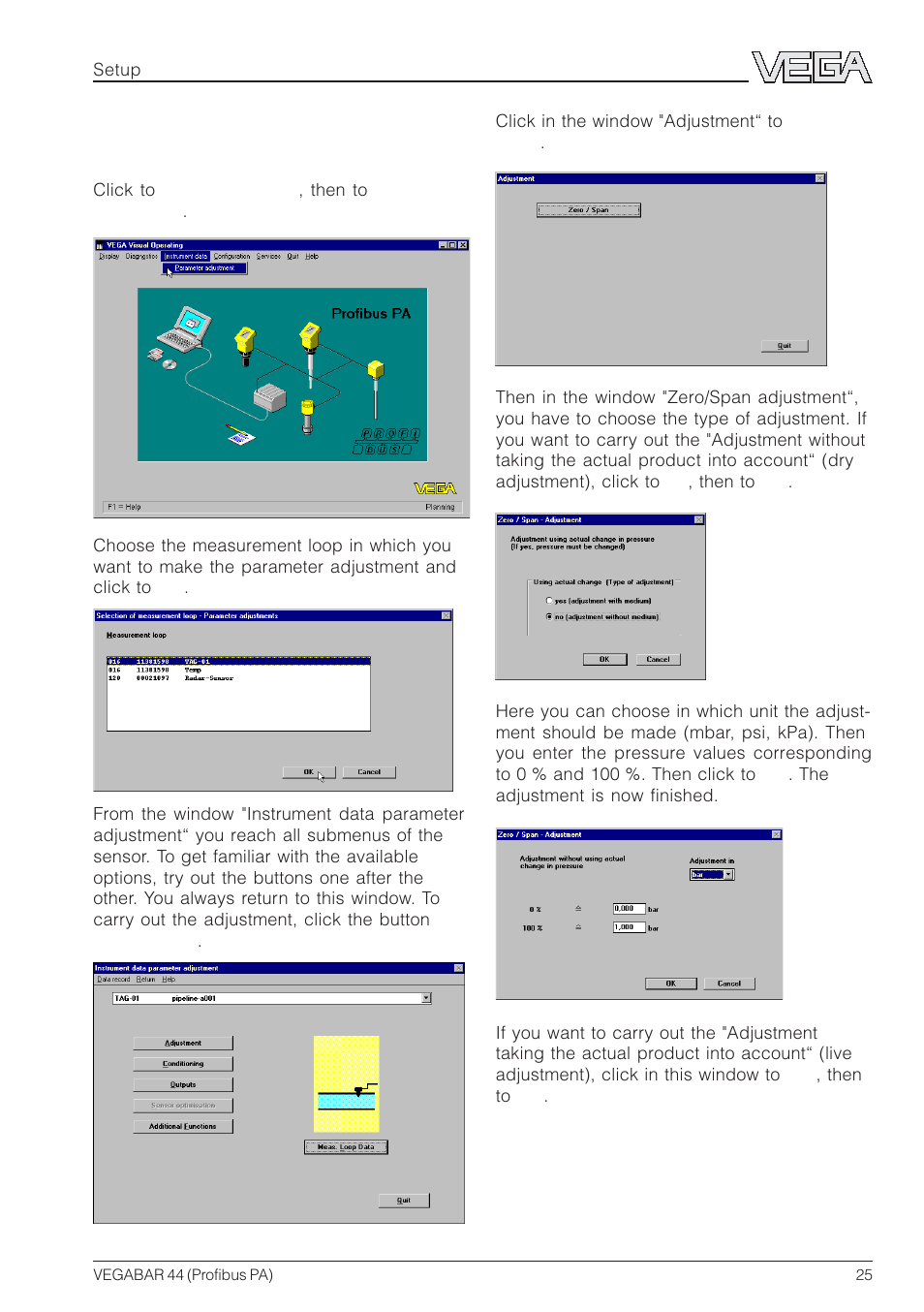 VEGA VEGABAR 44 Profibus PA User Manual | Page 25 / 36