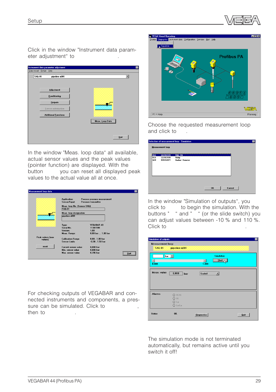 VEGA VEGABAR 44 Profibus PA User Manual | Page 29 / 36