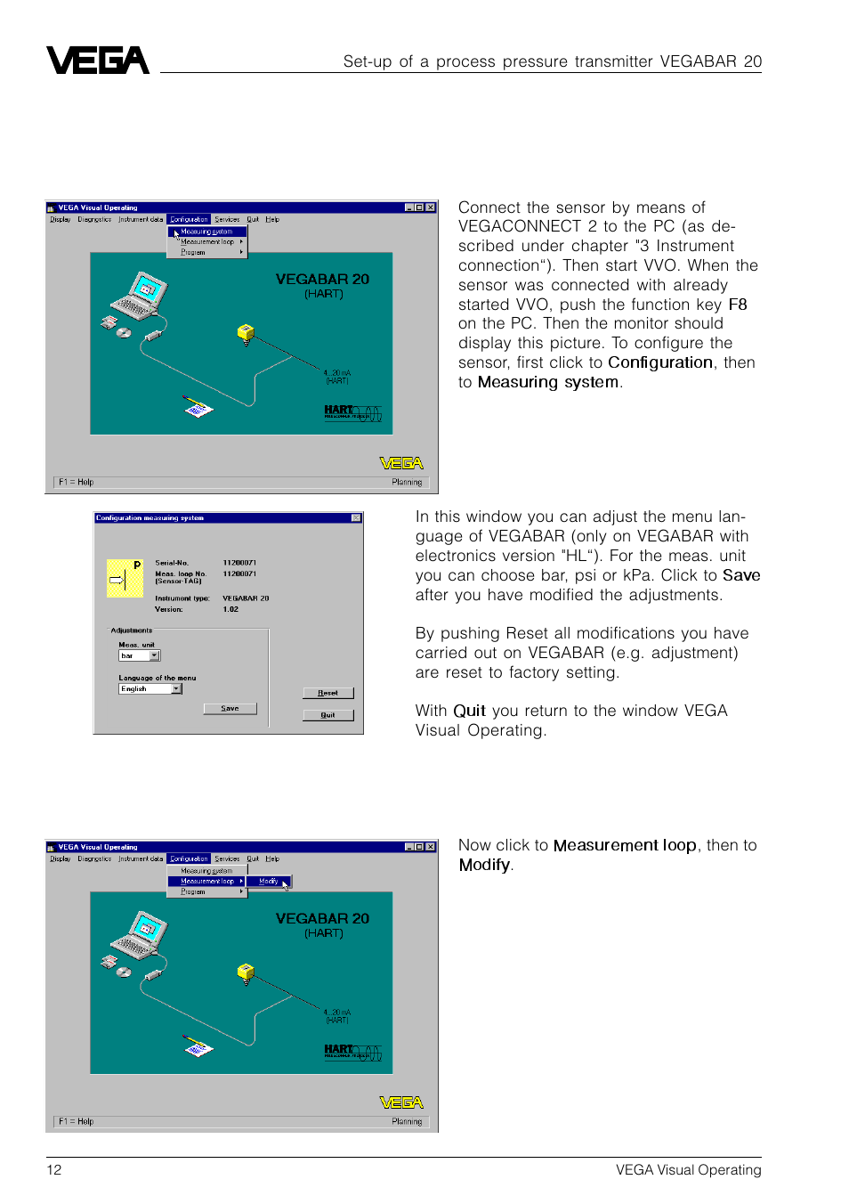 1 configure sensor | VEGA VVO VEGA Visual Operating User Manual | Page 12 / 64