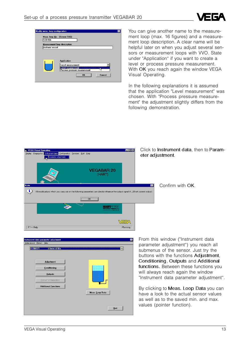 2 sensor parameter adjustment | VEGA VVO VEGA Visual Operating User Manual | Page 13 / 64