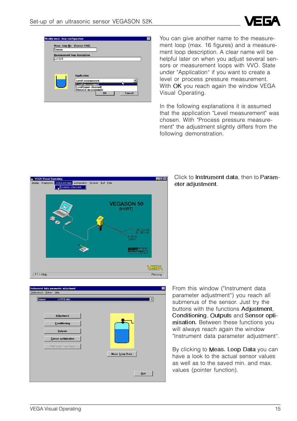 2 sensor parameter adjustment | VEGA VVO VEGA Visual Operating User Manual | Page 15 / 64