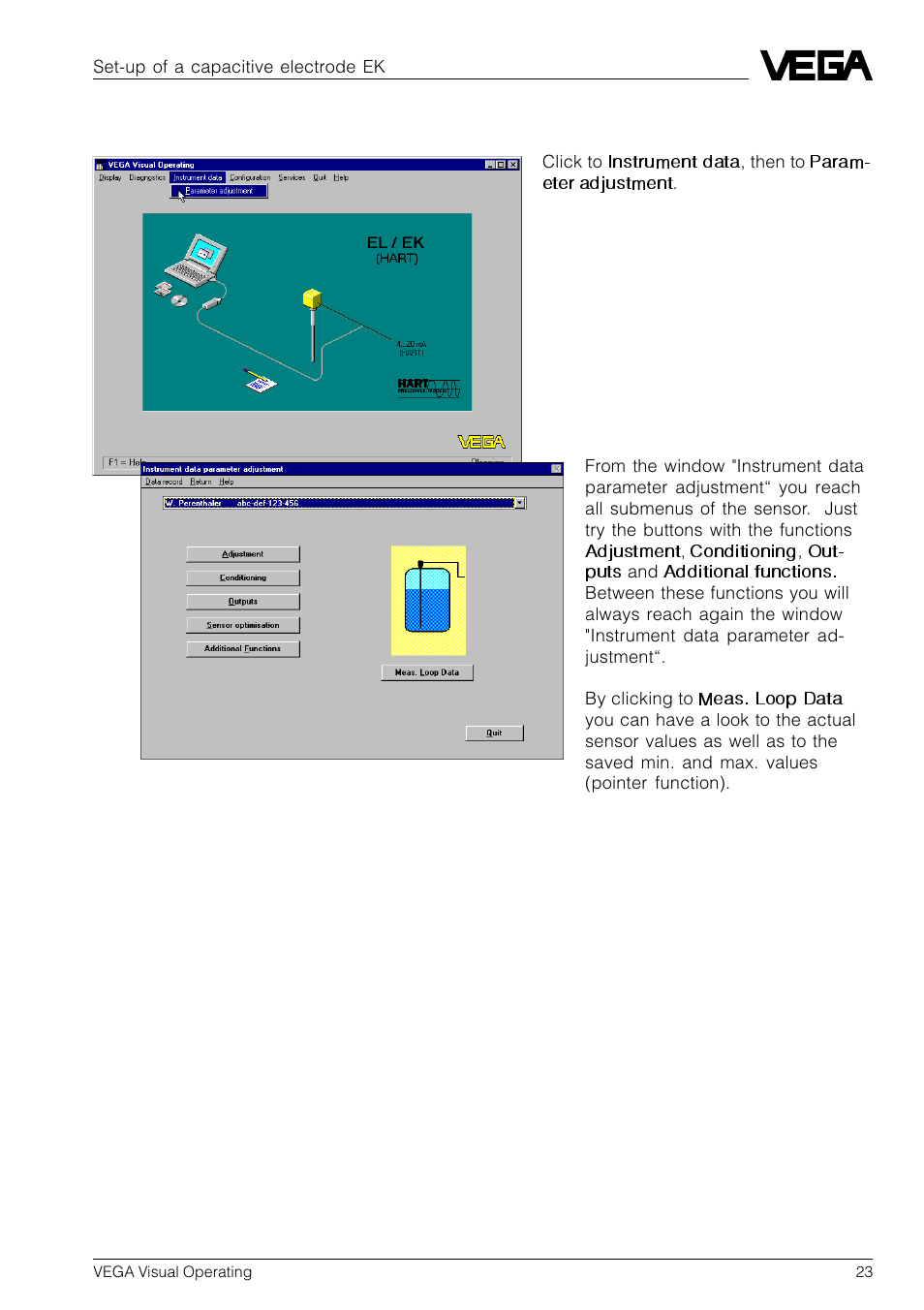 2 sensor parameter adjustment | VEGA VVO VEGA Visual Operating User Manual | Page 23 / 64