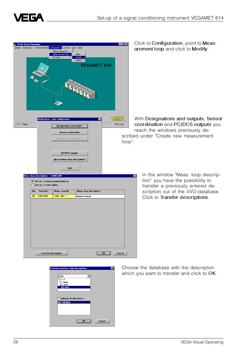 3 modify measurement loop | VEGA VVO VEGA Visual Operating User Manual | Page 28 / 64
