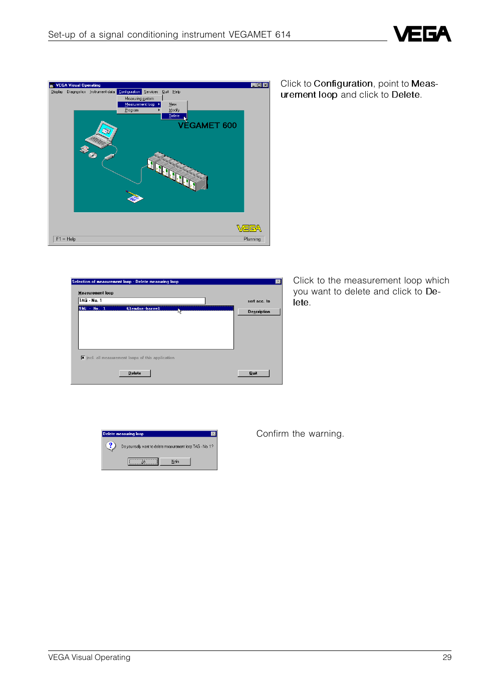 4 delete measurement loop | VEGA VVO VEGA Visual Operating User Manual | Page 29 / 64