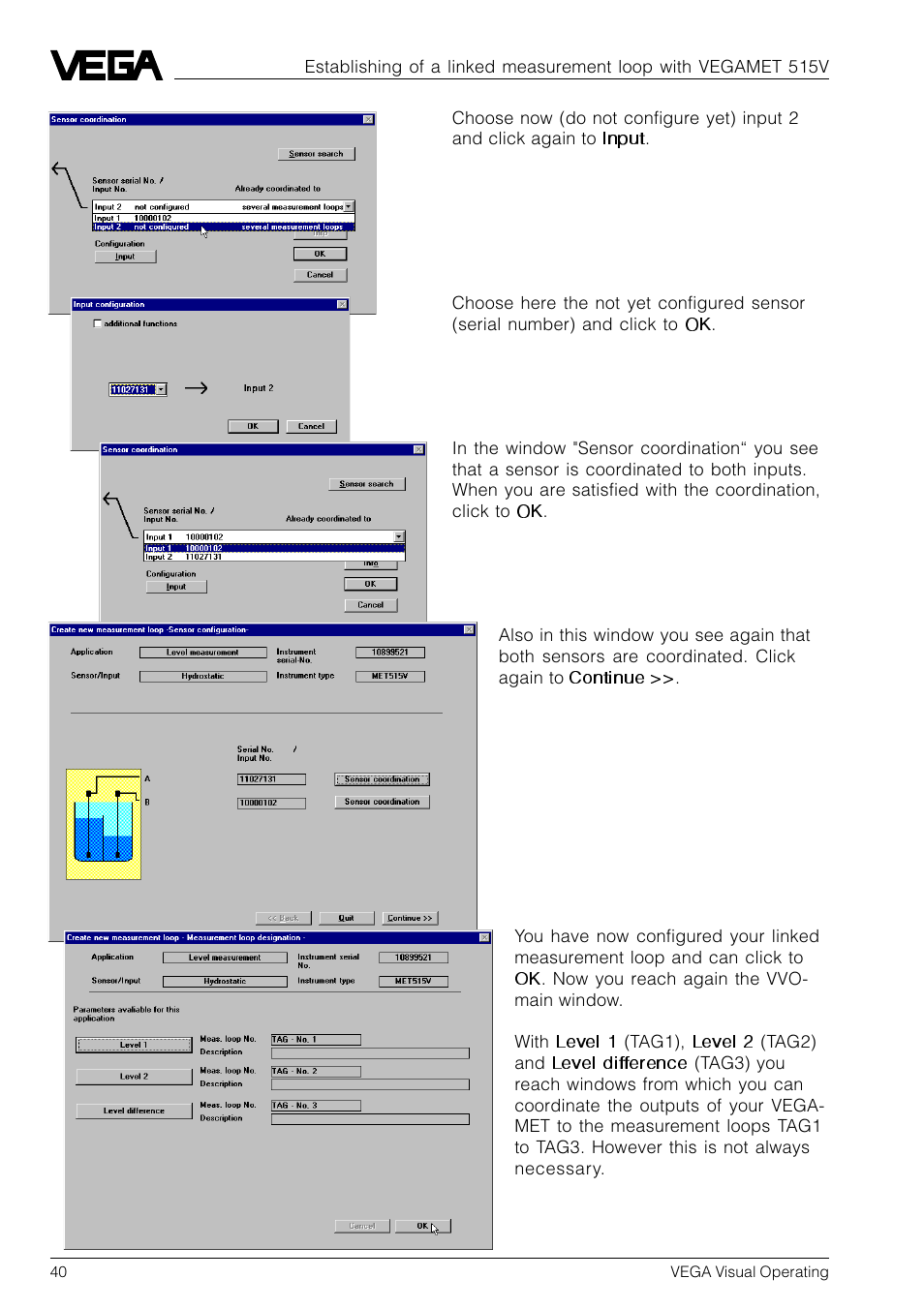VEGA VVO VEGA Visual Operating User Manual | Page 40 / 64