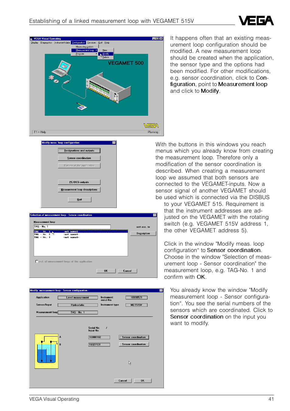 VEGA VVO VEGA Visual Operating User Manual | Page 41 / 64