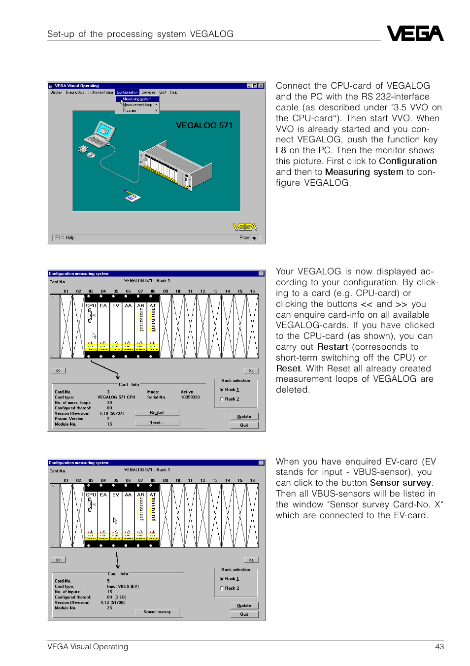 11 set-up of the processing system vegalog | VEGA VVO VEGA Visual Operating User Manual | Page 43 / 64
