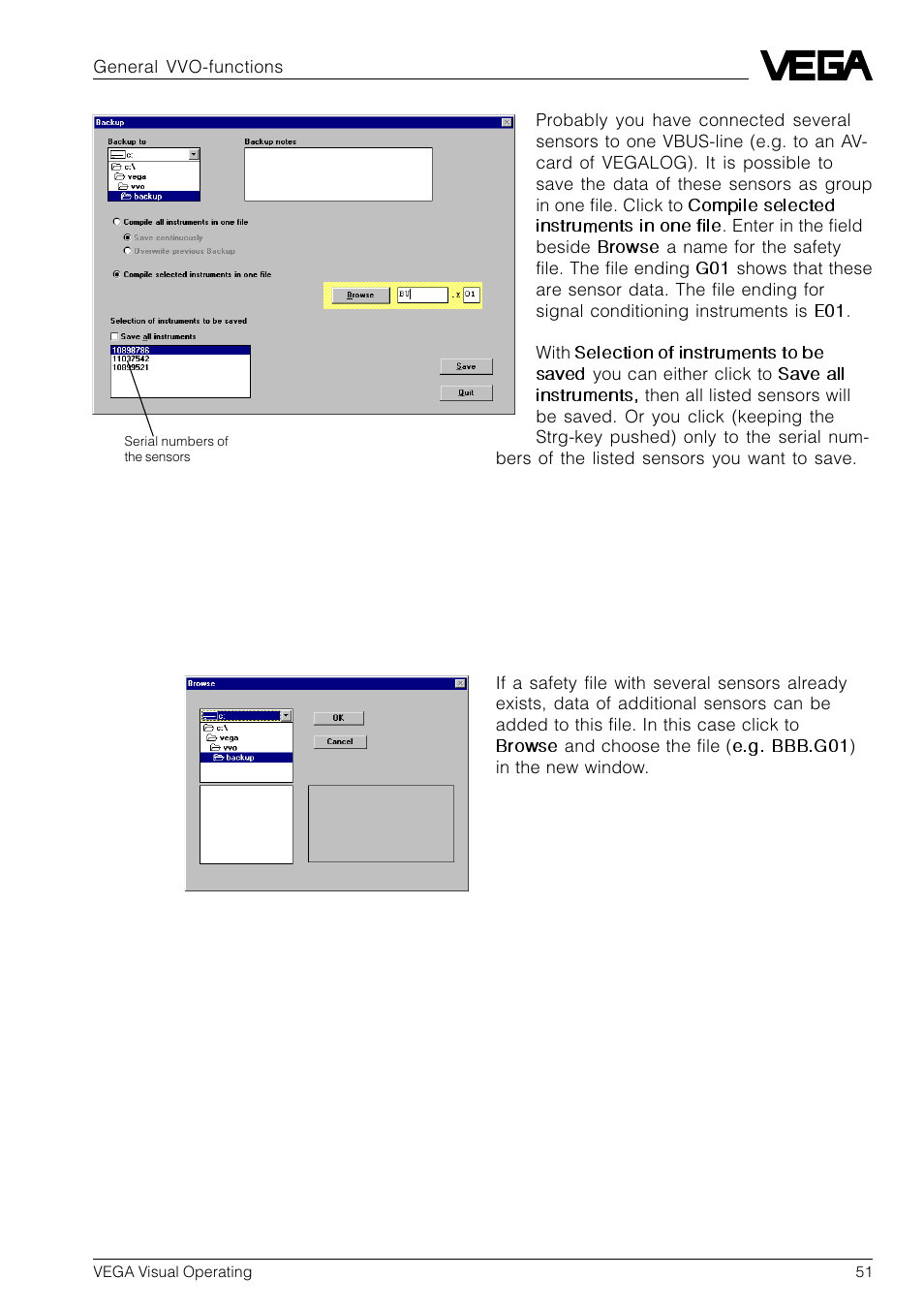 VEGA VVO VEGA Visual Operating User Manual | Page 51 / 64
