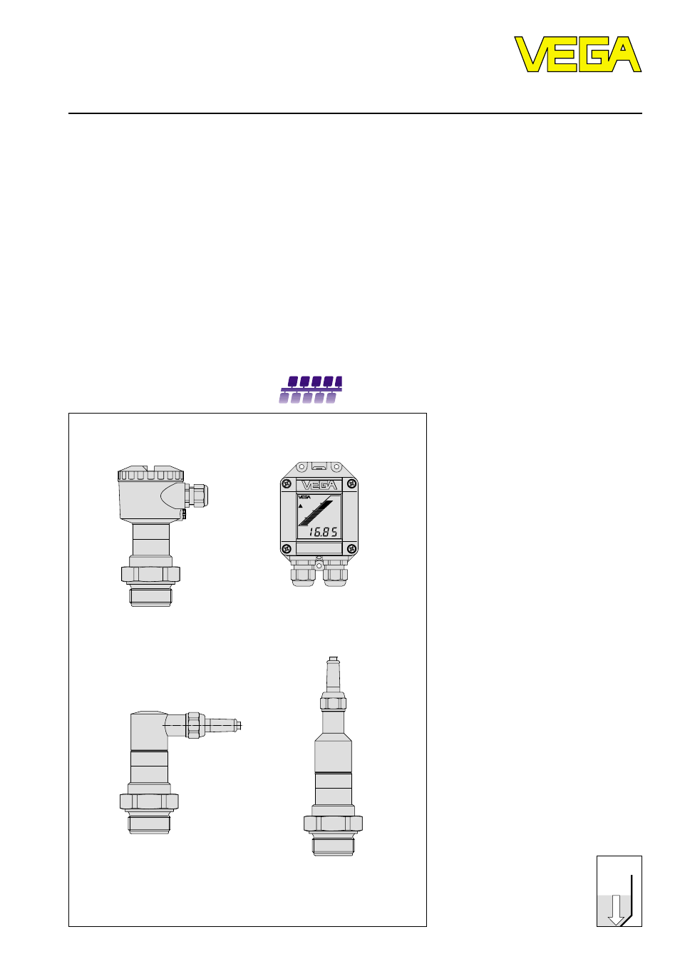 VEGA D95 Profibus PA User Manual | 36 pages