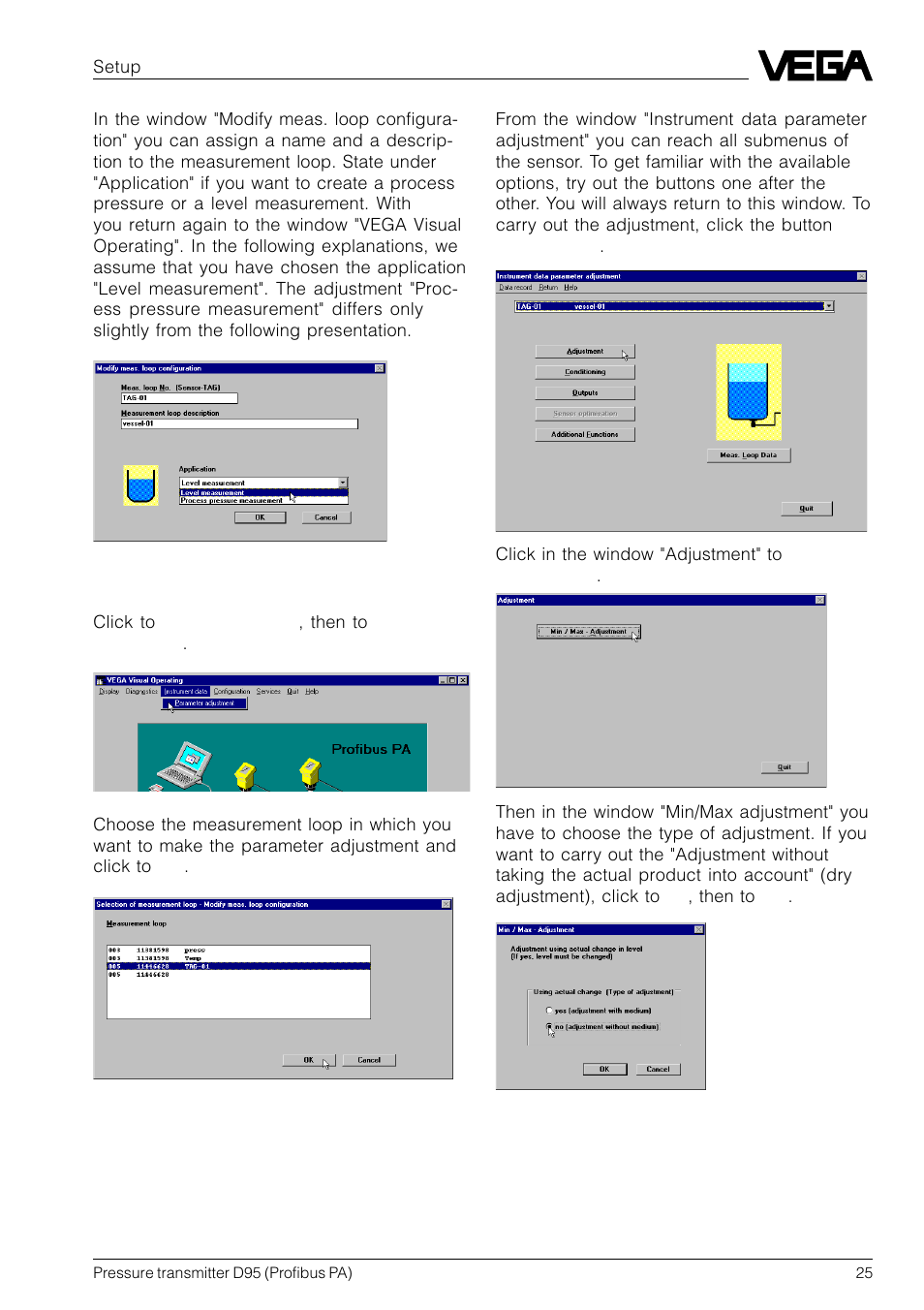 VEGA D95 Profibus PA User Manual | Page 25 / 36