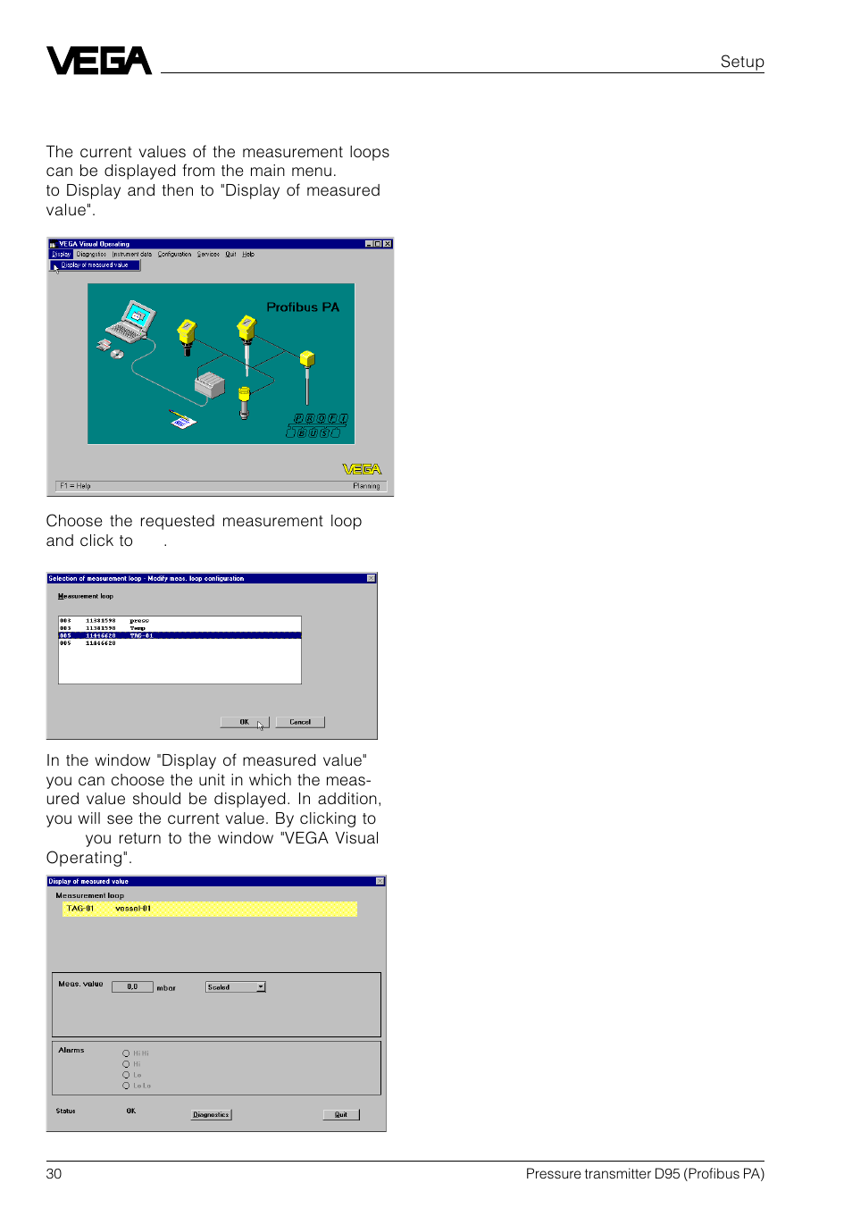 VEGA D95 Profibus PA User Manual | Page 30 / 36