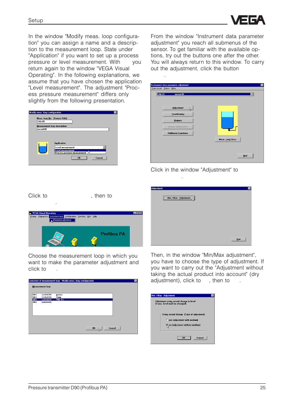 VEGA D90 Profibus PA User Manual | Page 25 / 36