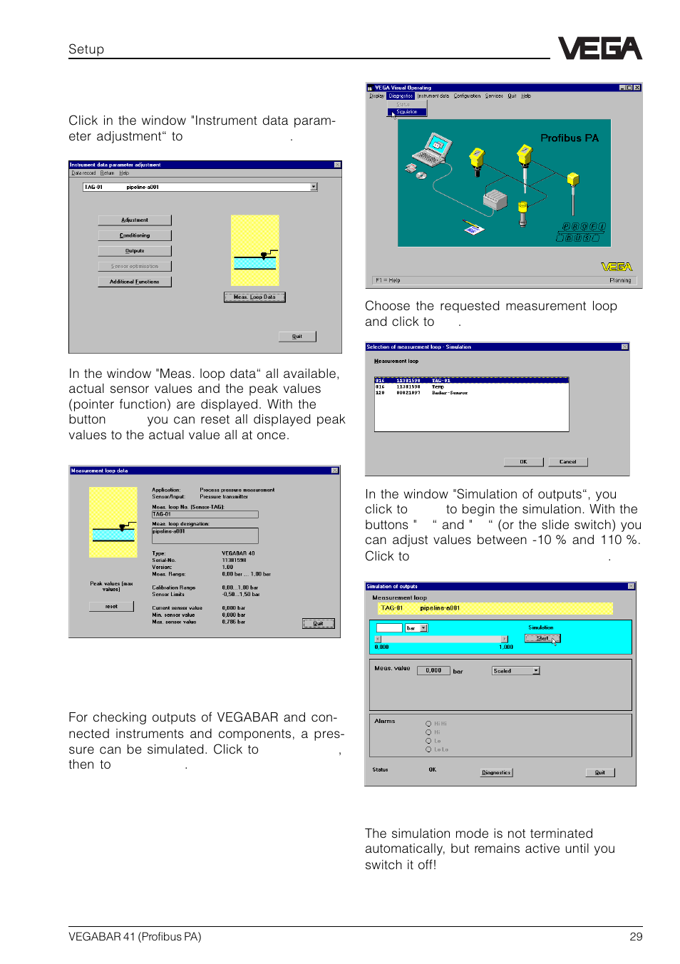 VEGA VEGABAR 41 Profibus PA User Manual | Page 29 / 36