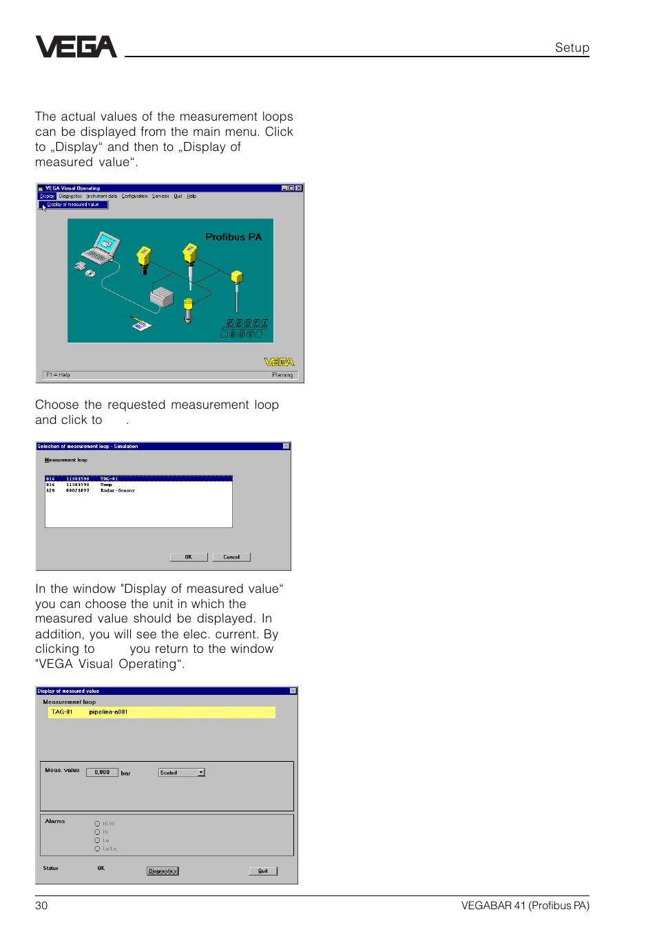 VEGA VEGABAR 41 Profibus PA User Manual | Page 30 / 36