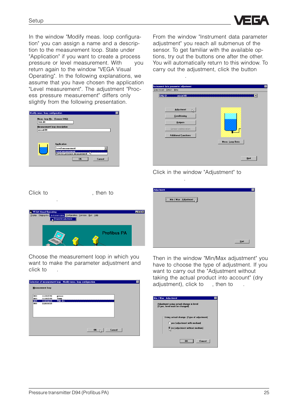 VEGA D94 Profibus PA User Manual | Page 25 / 36