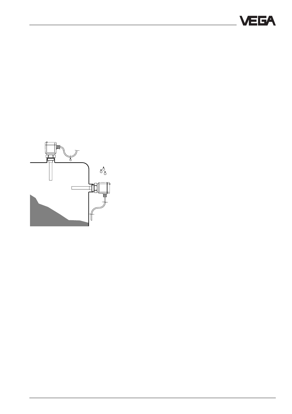 VEGA Capacitive electrodes EL … User Manual | Page 27 / 44