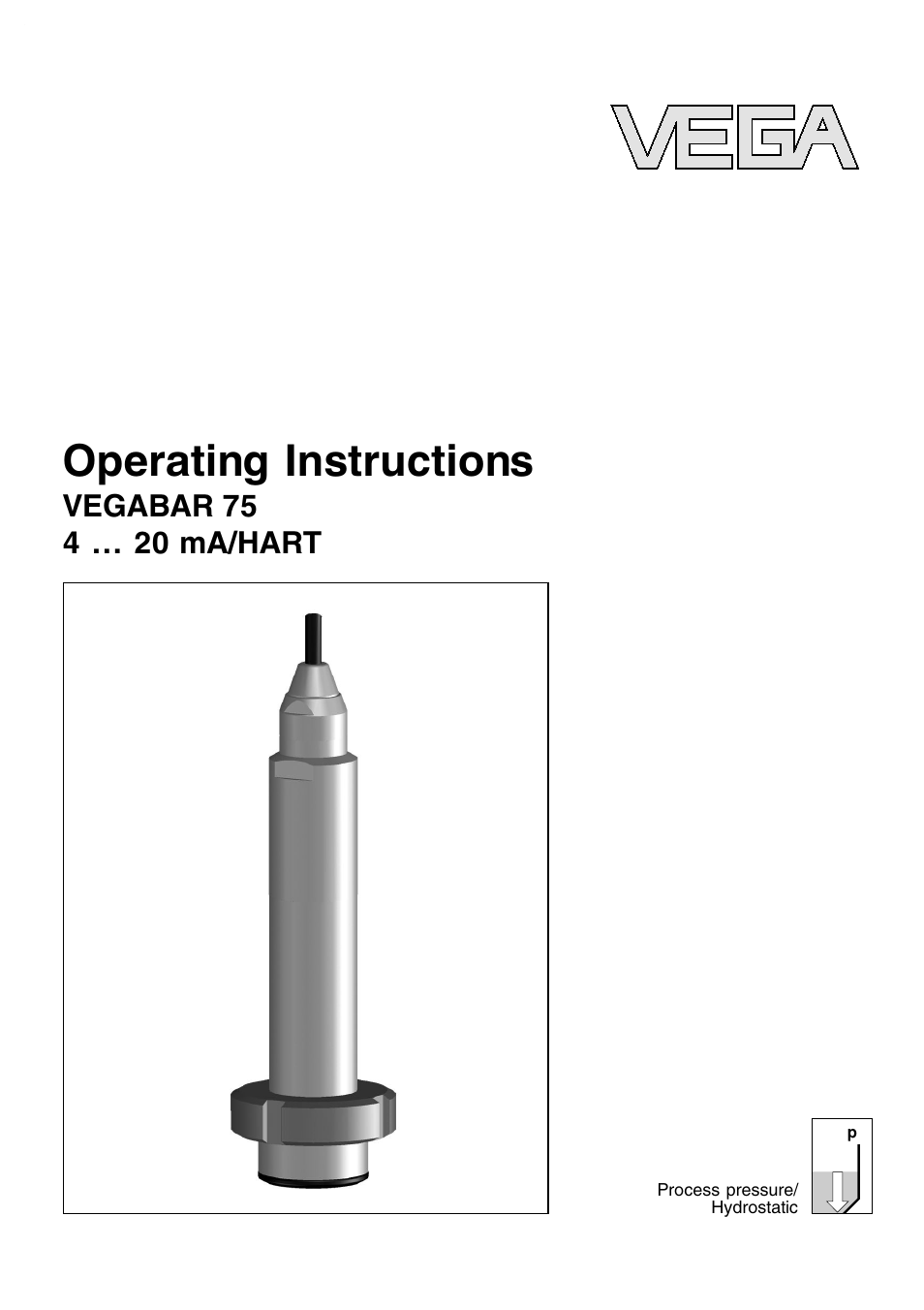 VEGA VEGABAR 75 4 … 20 mA_HART User Manual | 40 pages