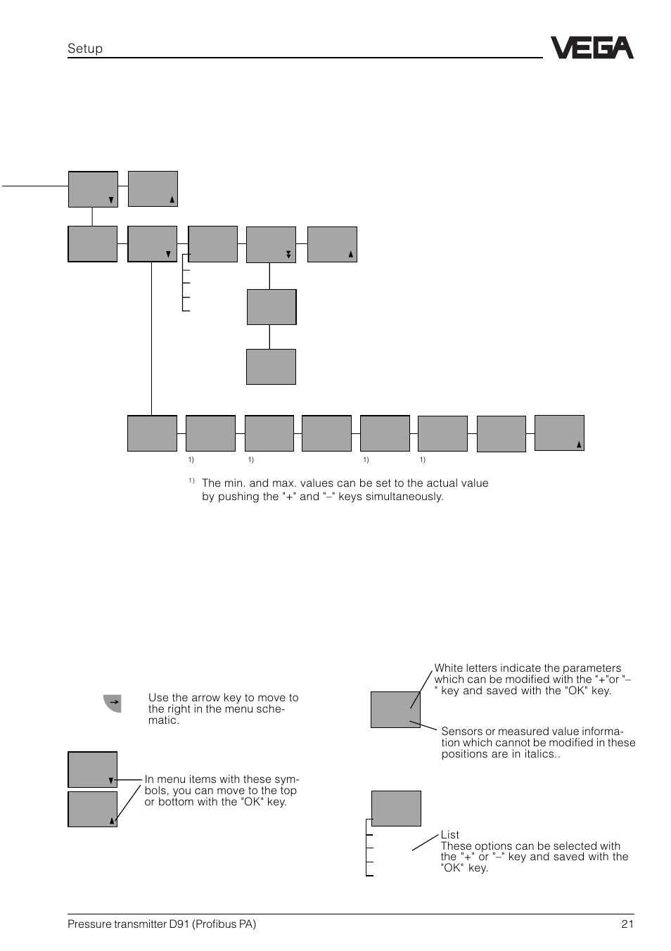 VEGA D91 Profibus PA User Manual | Page 21 / 36
