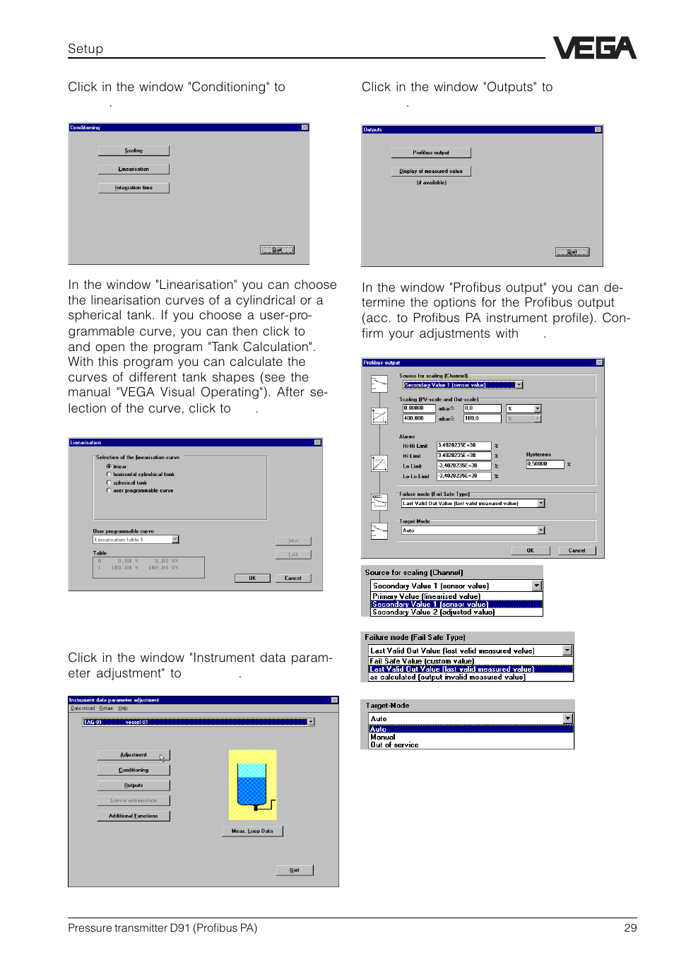 VEGA D91 Profibus PA User Manual | Page 29 / 36