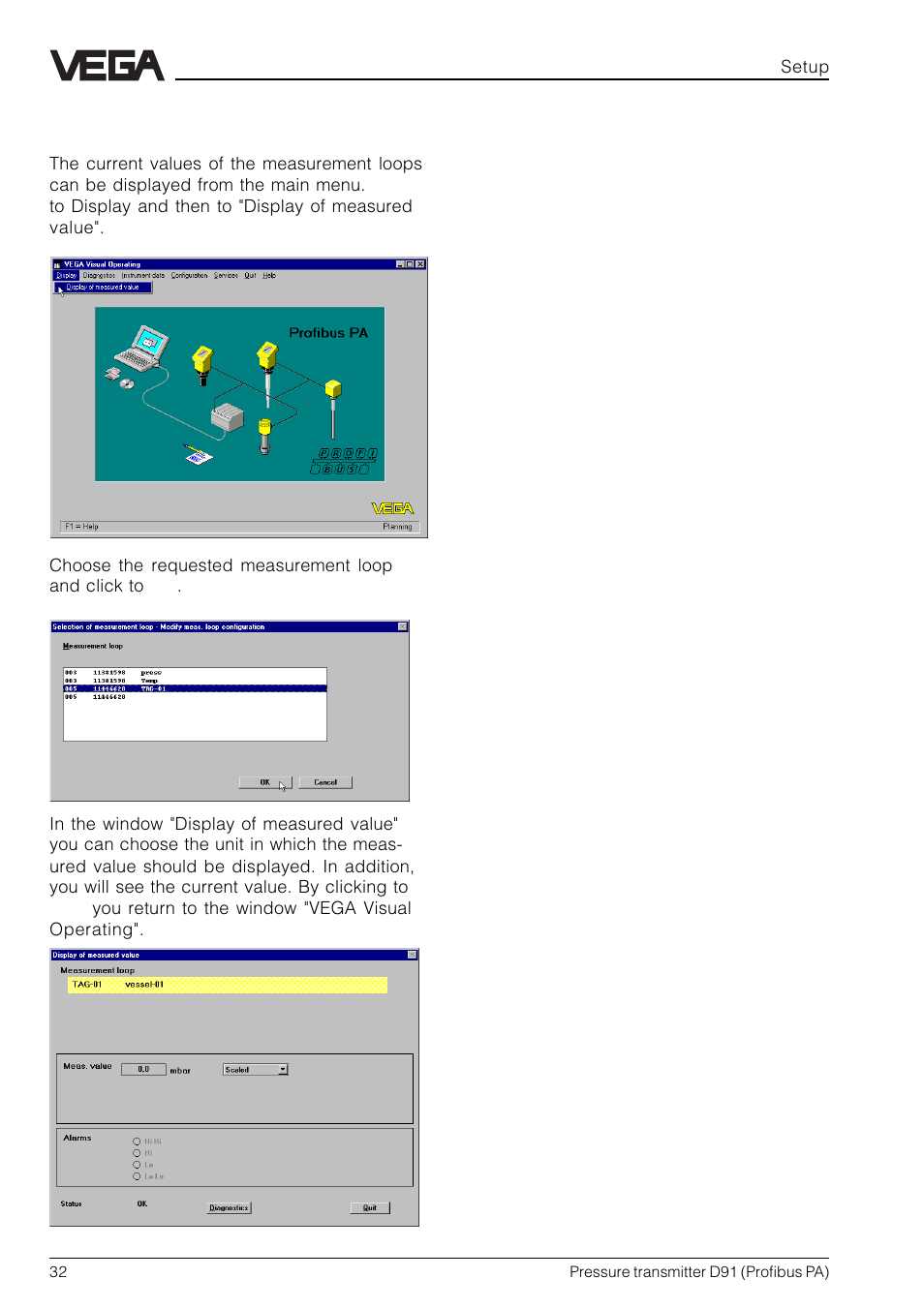 VEGA D91 Profibus PA User Manual | Page 32 / 36