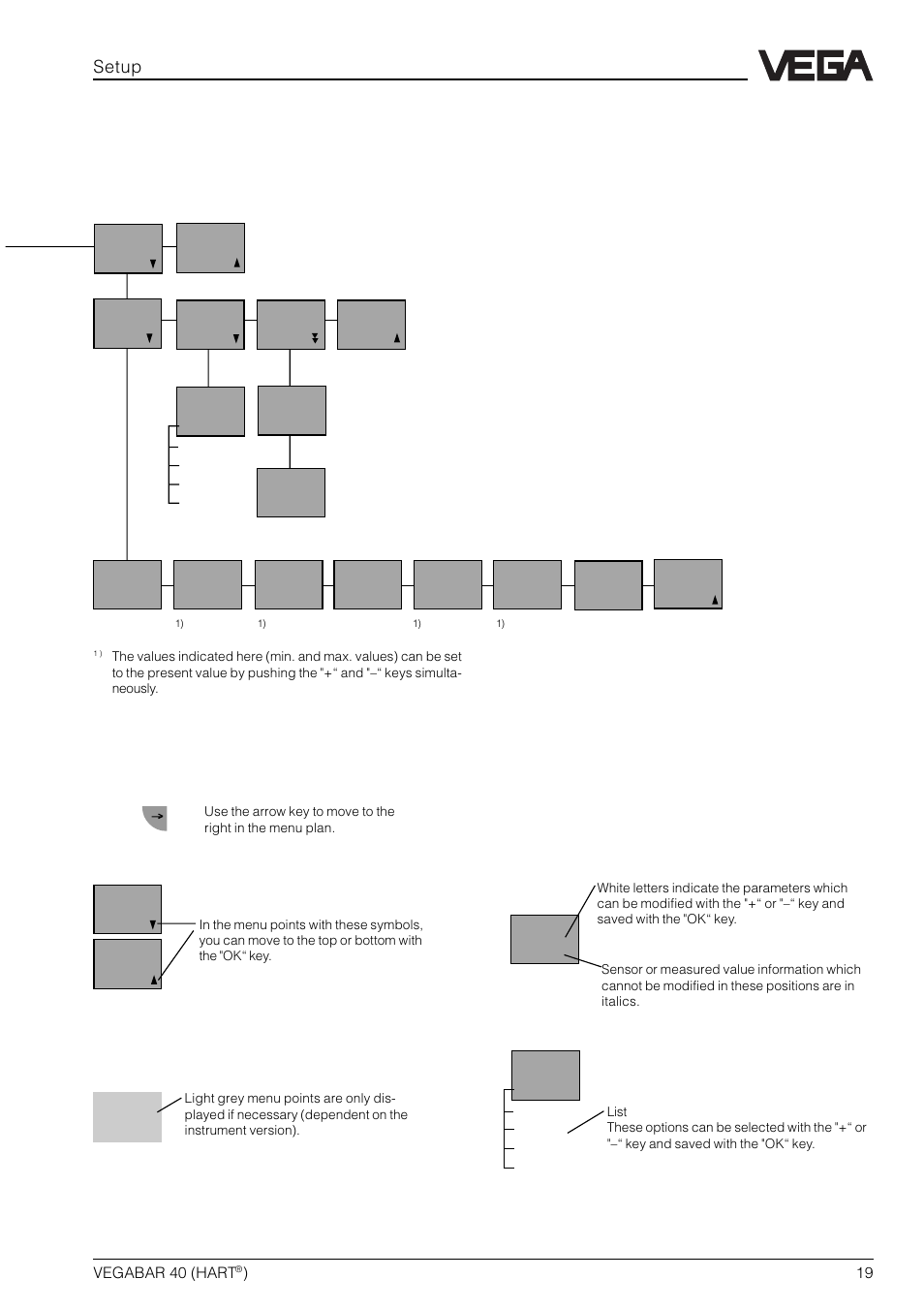 Setup | VEGA VEGABAR 40 HART User Manual | Page 19 / 40