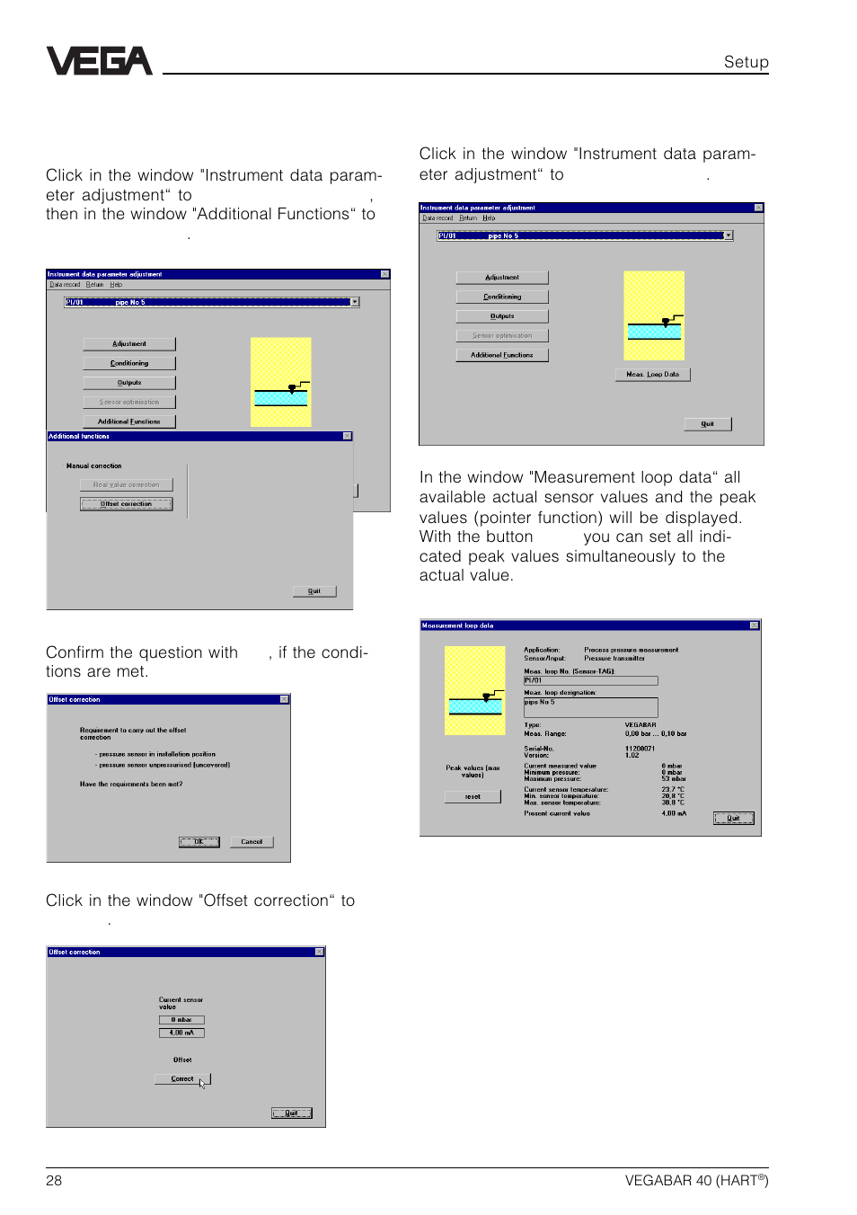 VEGA VEGABAR 40 HART User Manual | Page 28 / 40