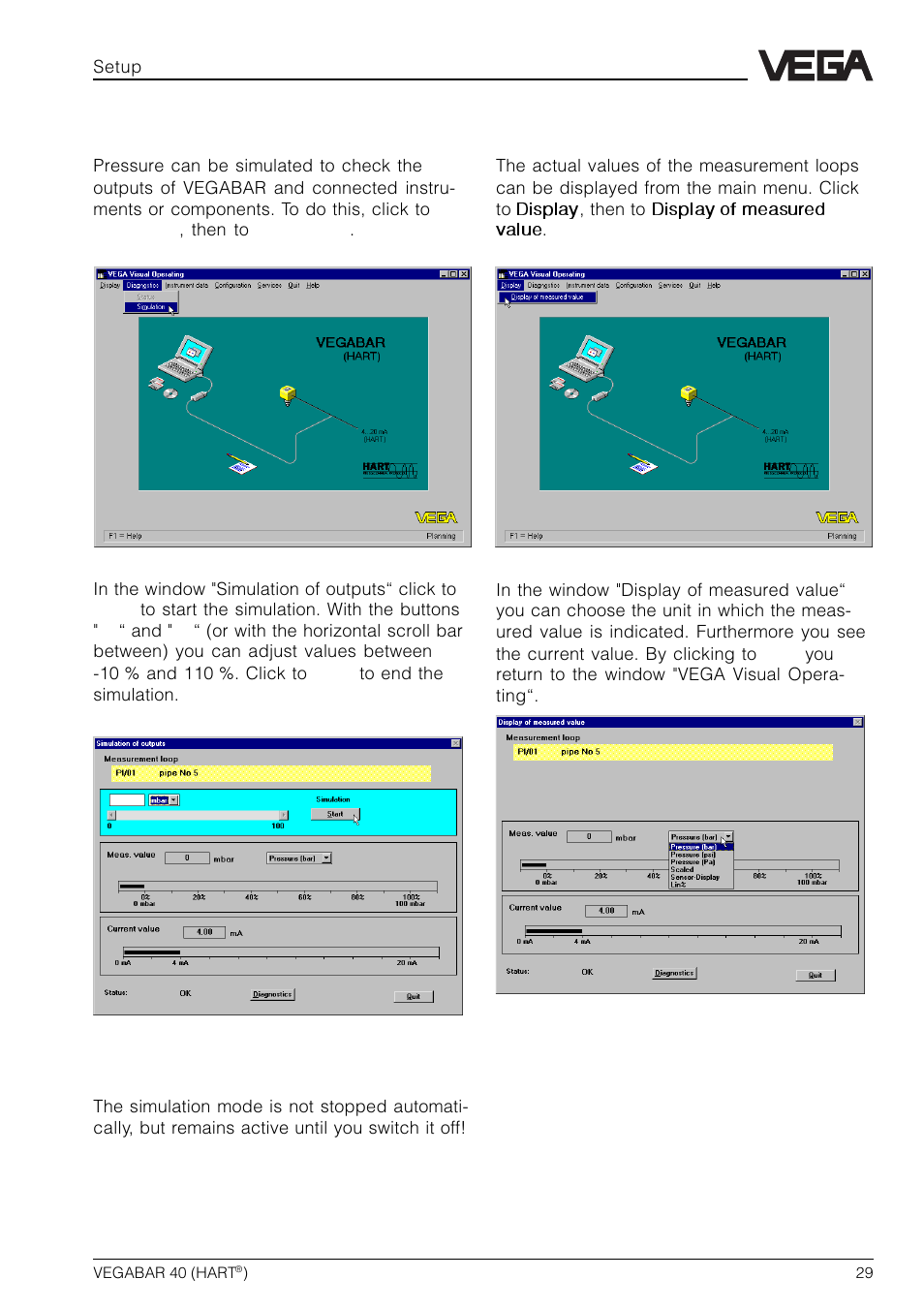 VEGA VEGABAR 40 HART User Manual | Page 29 / 40