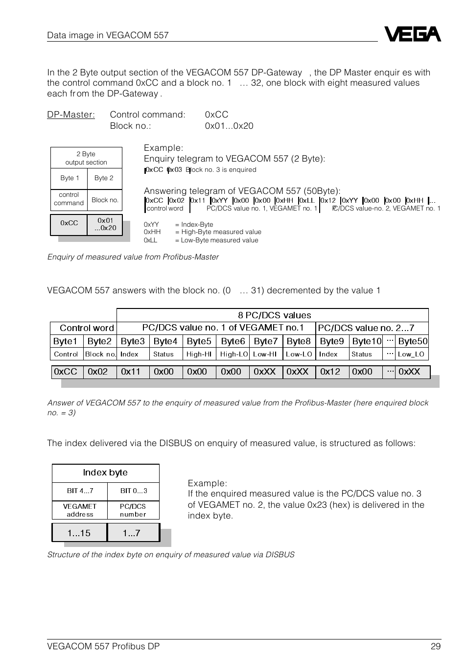 VEGA VEGACOM 557 Profibus DP User Manual | Page 29 / 84