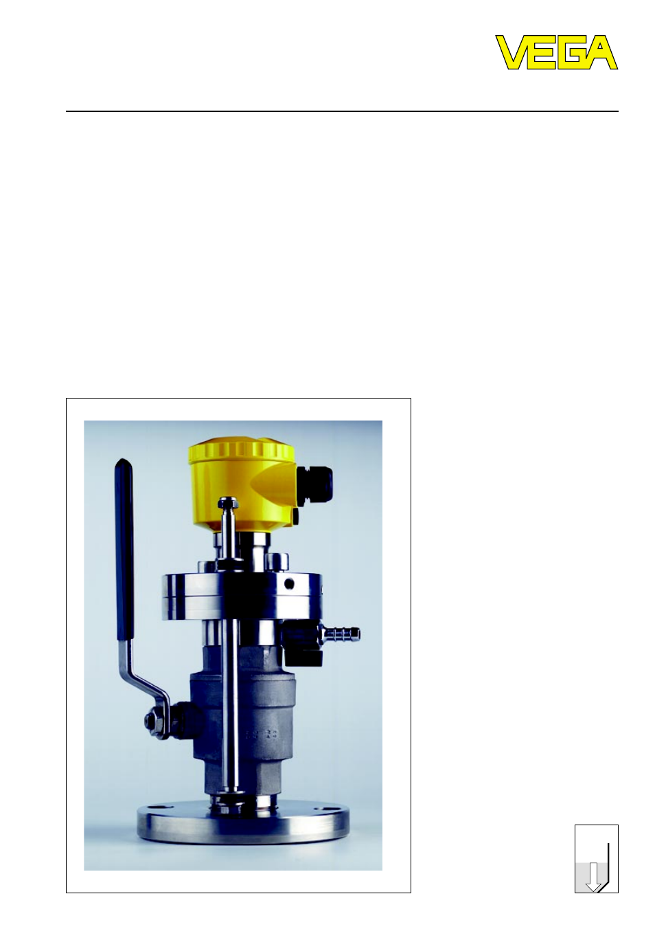VEGA D84 Ball valve fitting User Manual | 12 pages