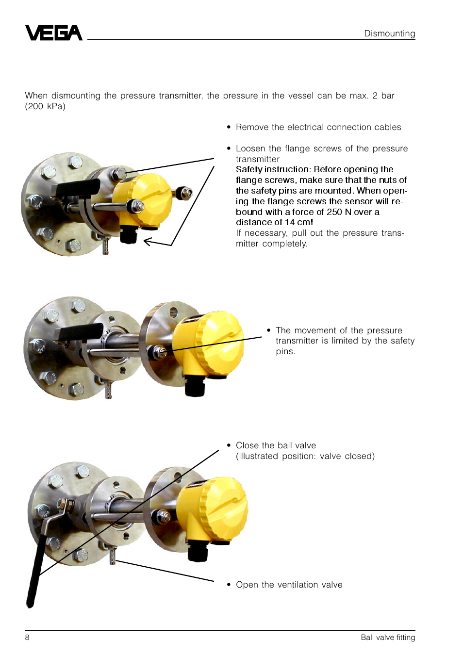 VEGA D84 Ball valve fitting User Manual | Page 8 / 12