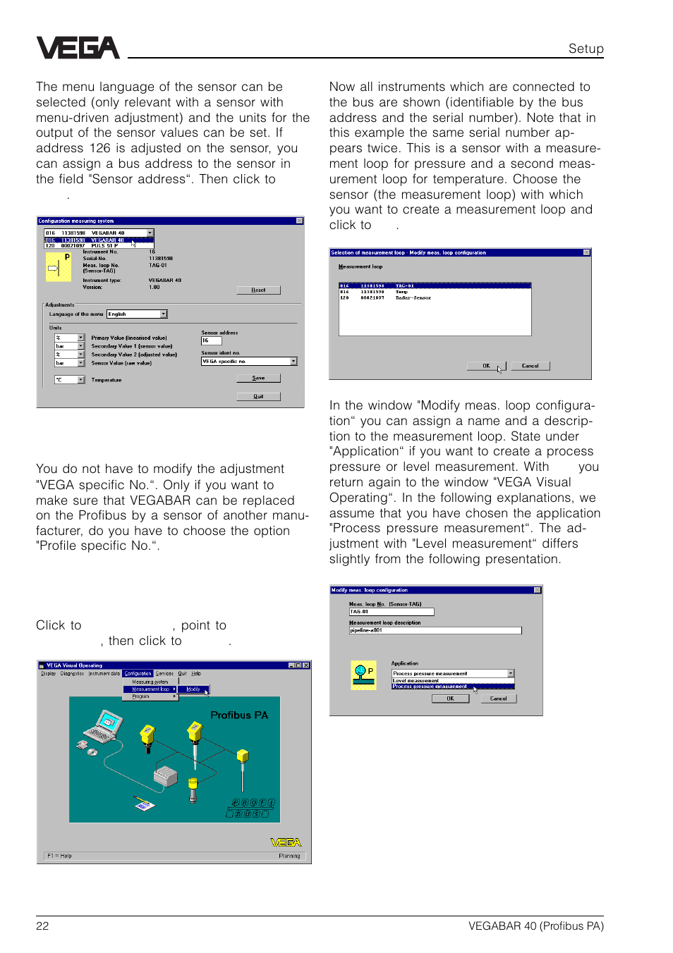 VEGA VEGABAR 40 Profibus PA User Manual | Page 22 / 36