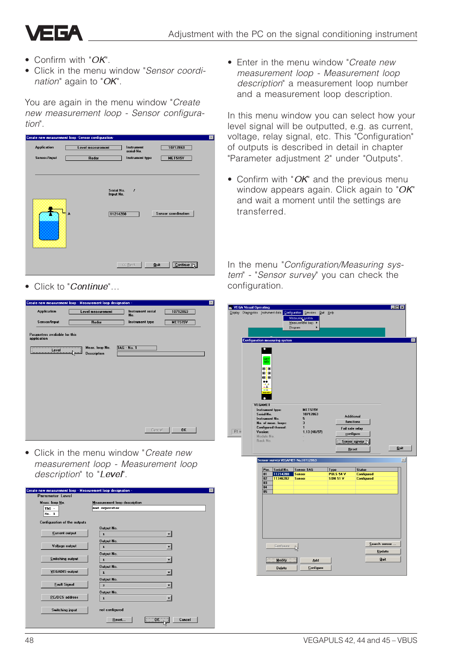 VEGA VEGAPULS 45 VBUS User Manual | Page 48 / 92
