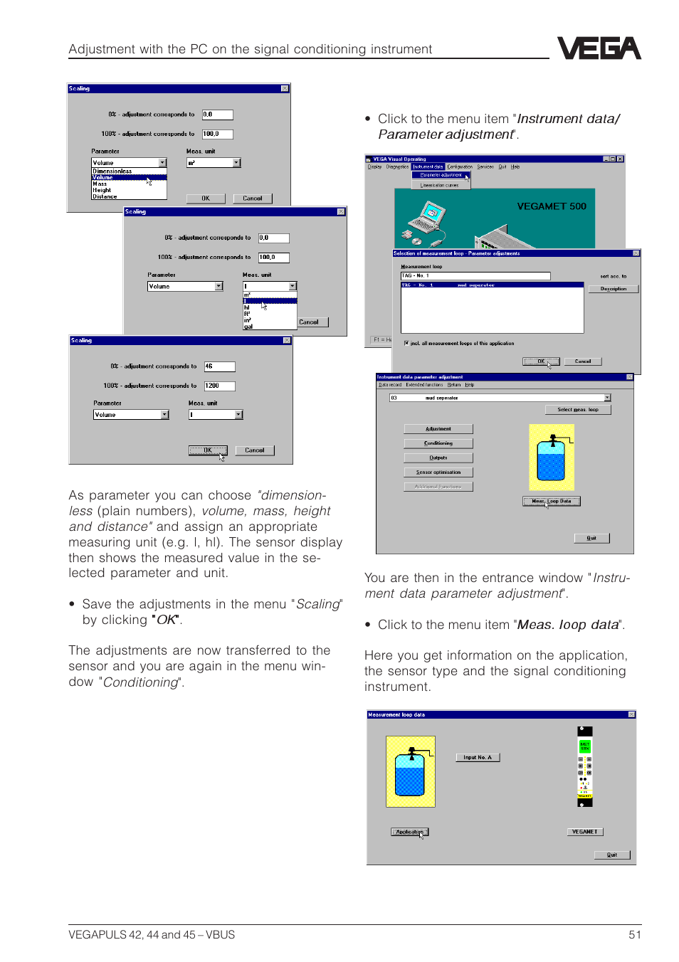 VEGA VEGAPULS 45 VBUS User Manual | Page 51 / 92