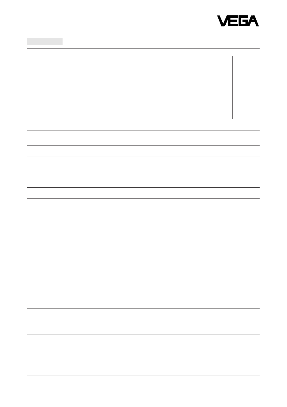 VEGA VEGAMET 407 AFT User Manual | Page 3 / 8