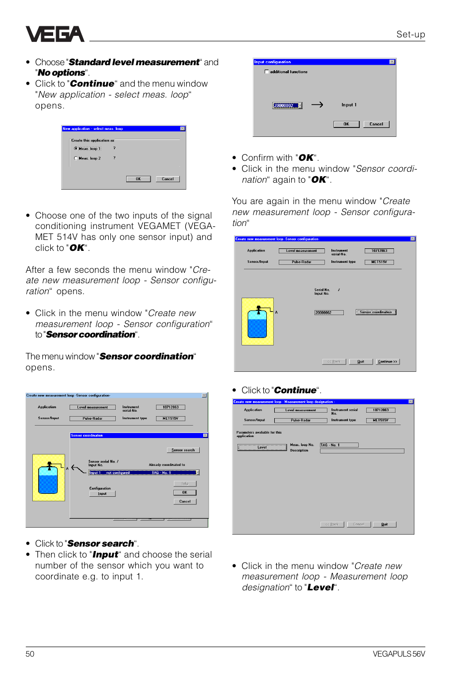 VEGA VEGAPULS 56V User Manual | Page 50 / 80