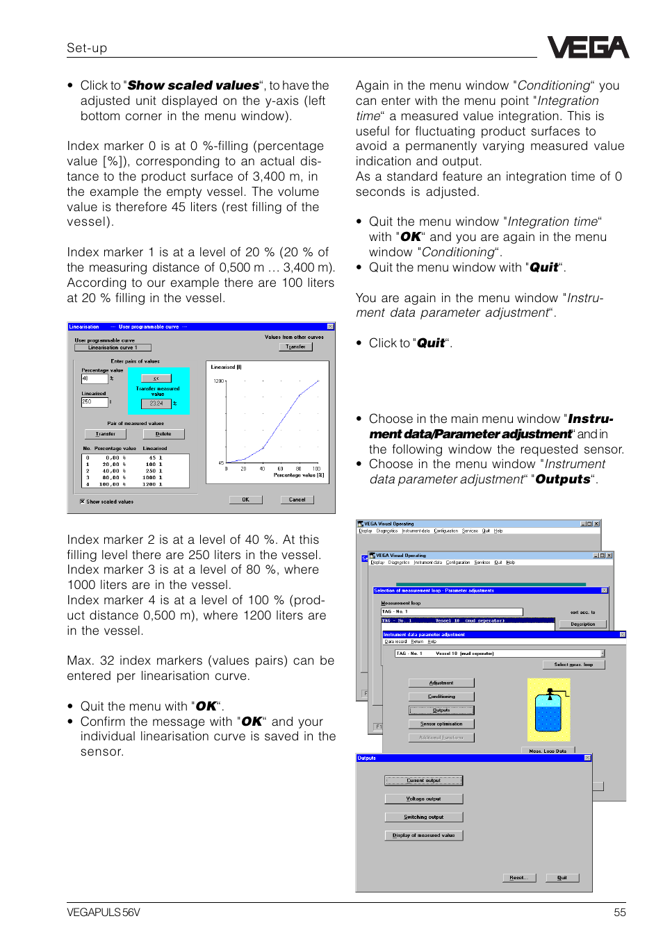 VEGA VEGAPULS 56V User Manual | Page 55 / 80