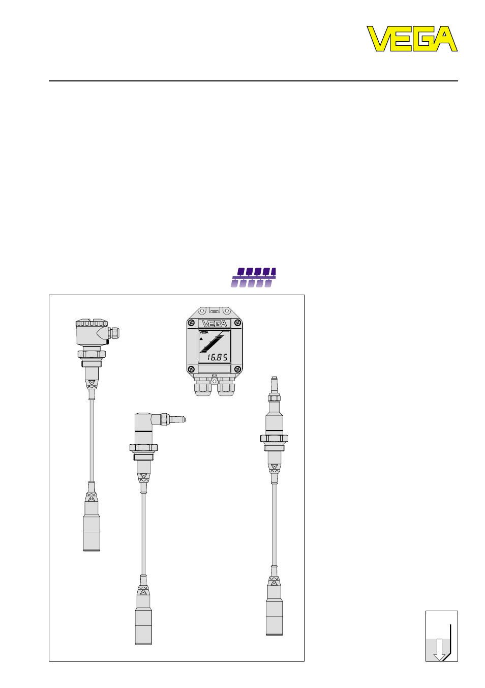 VEGA D96_D97 Profibus PA User Manual | 36 pages