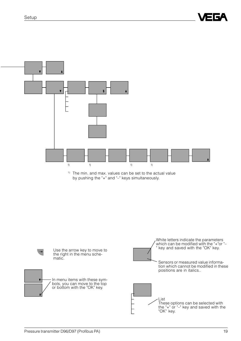 VEGA D96_D97 Profibus PA User Manual | Page 19 / 36