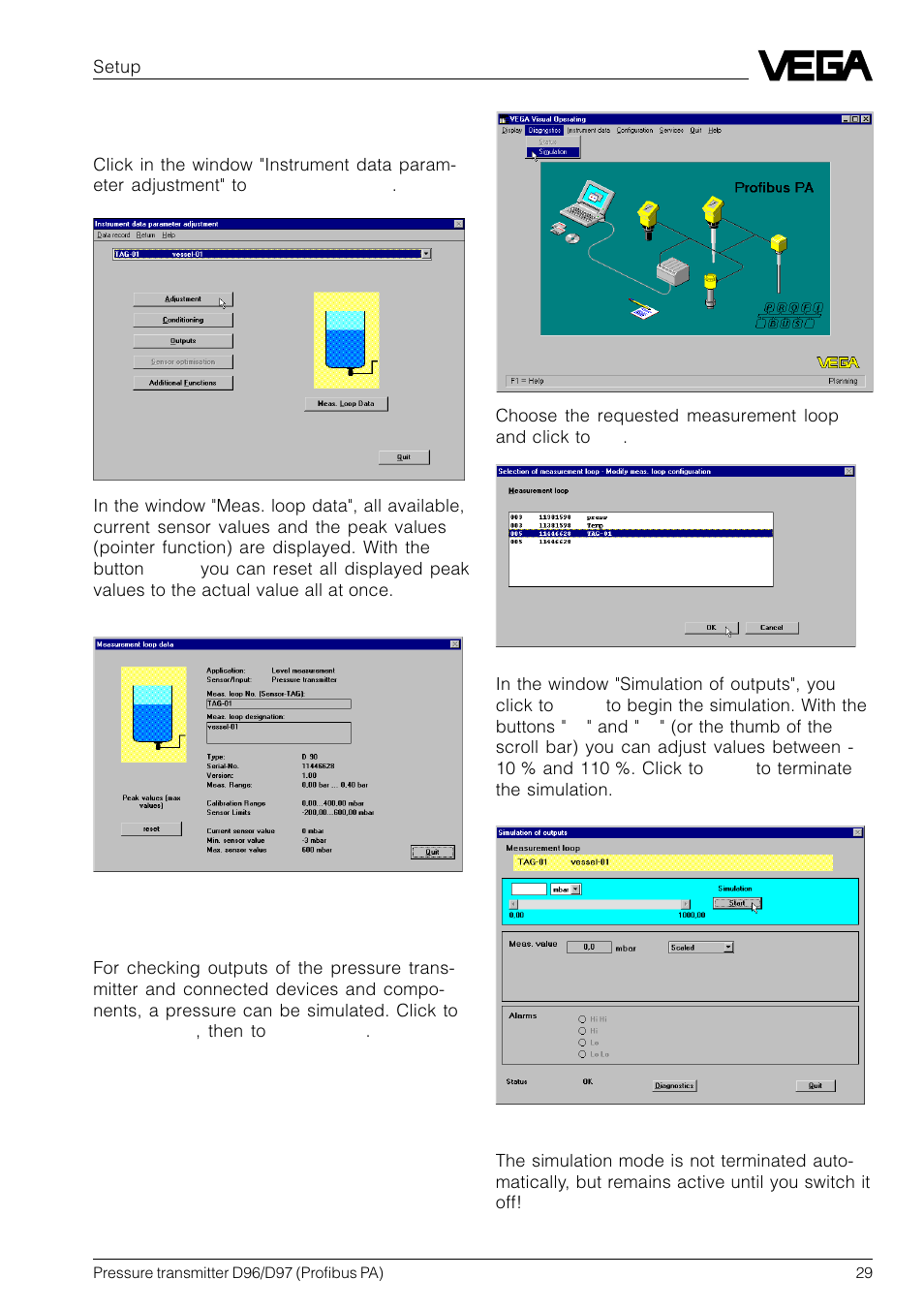 VEGA D96_D97 Profibus PA User Manual | Page 29 / 36