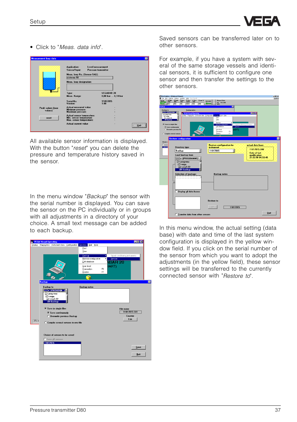 VEGA D80 Hydrostatic pressure transmitters User Manual | Page 37 / 40