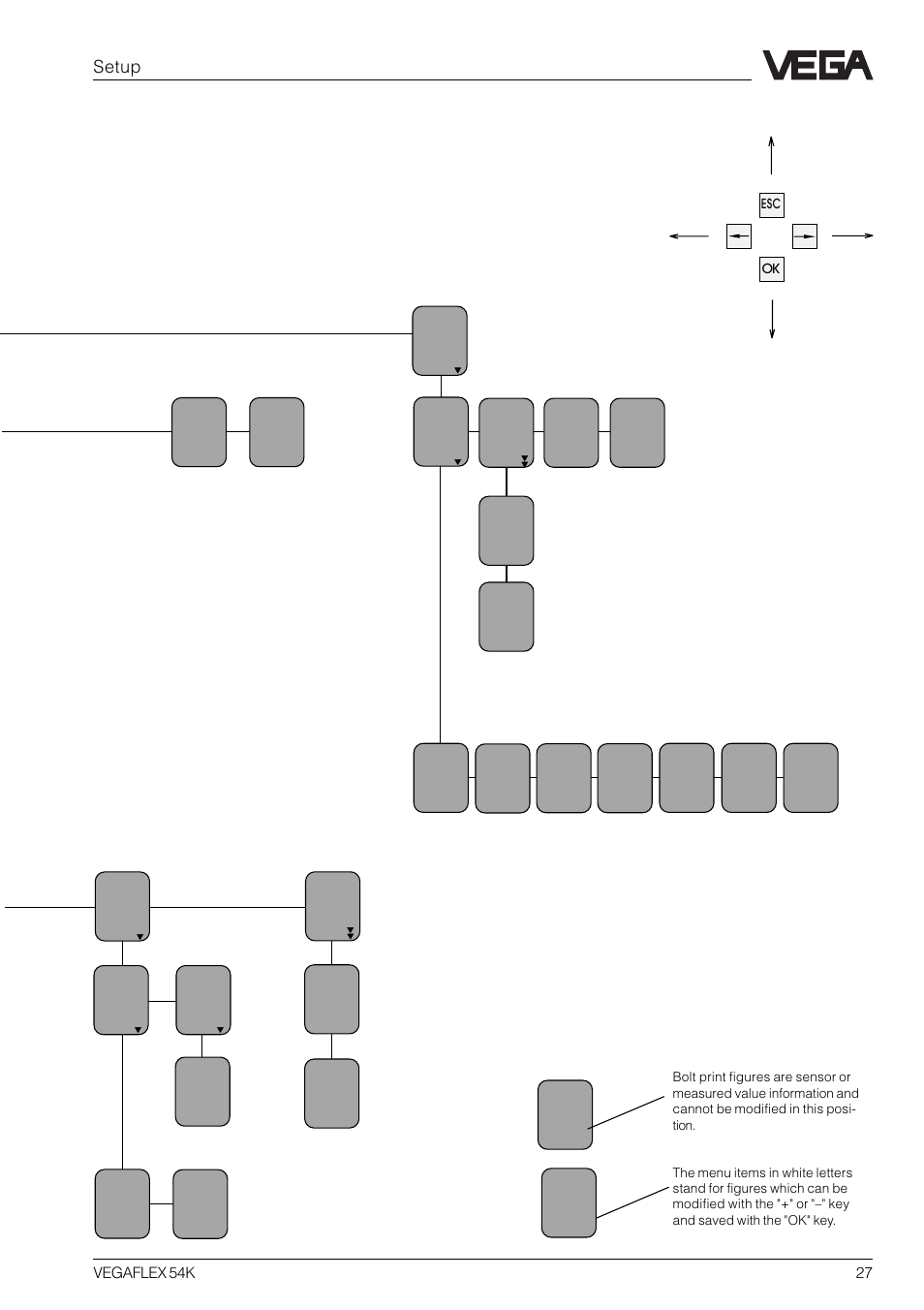 Setup | VEGA VEGAFLEX 54K User Manual | Page 27 / 36