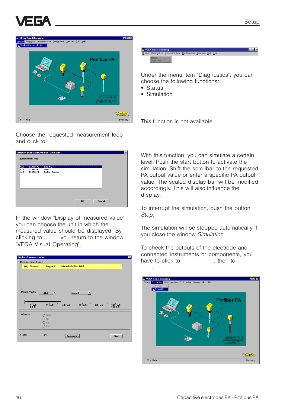 VEGA Capacitive electrodes EK Profibus PA User Manual | Page 46 / 56
