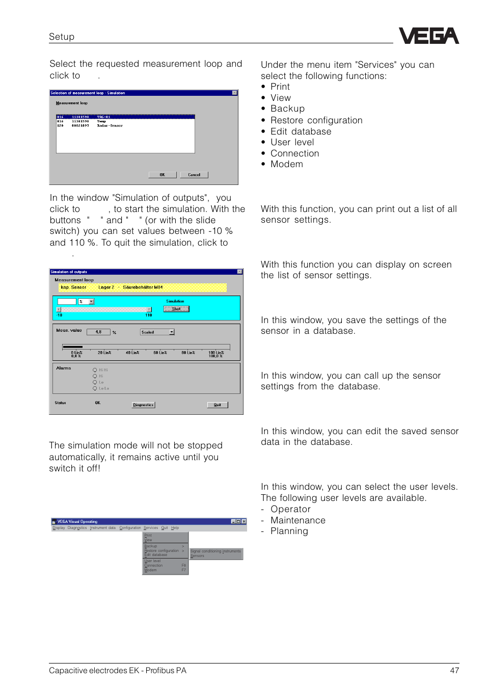Services | VEGA Capacitive electrodes EK Profibus PA User Manual | Page 47 / 56
