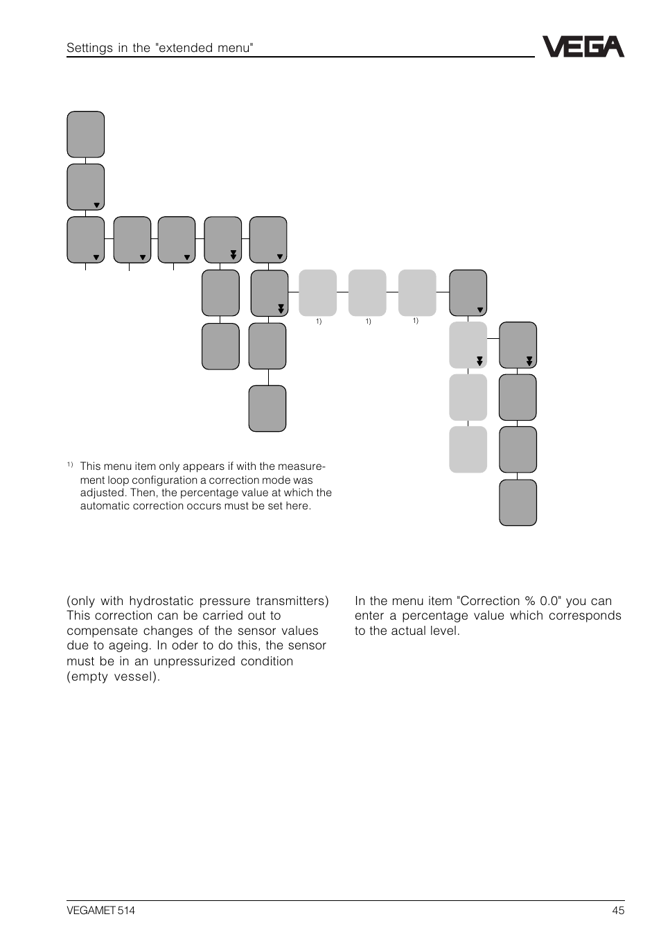 12 special function: manual correction, Settings in the "extended menu | VEGA VEGAMET 514 User Manual | Page 45 / 64