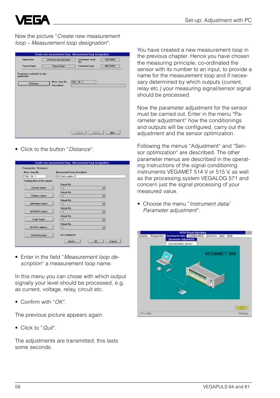 VEGA VEGAPULS 81 User Manual | Page 58 / 84