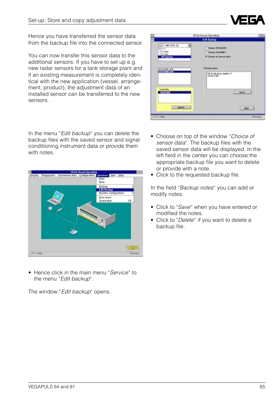 VEGA VEGAPULS 81 User Manual | Page 65 / 84