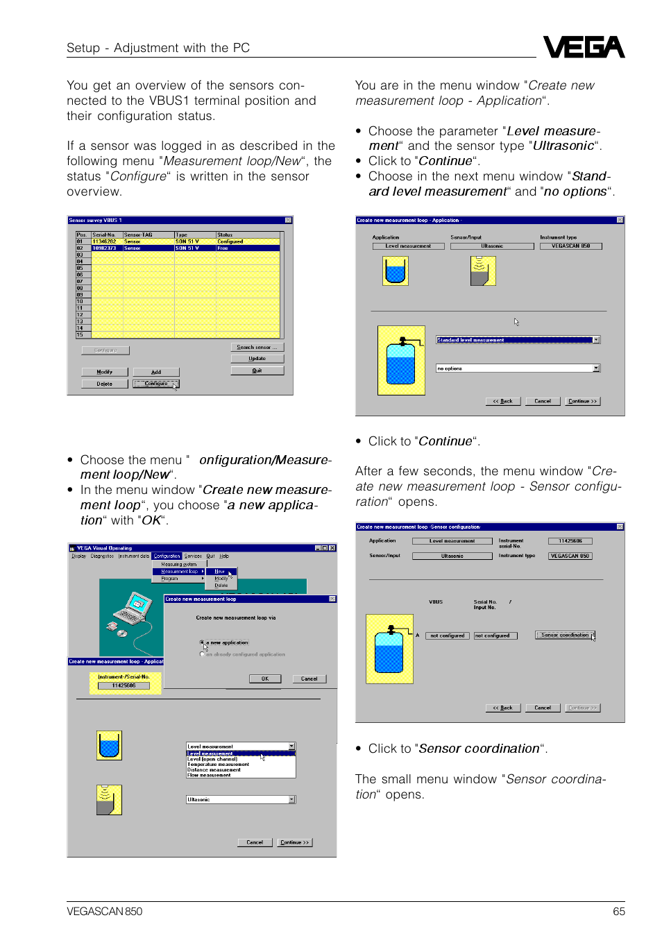 VEGA VEGASCAN 850 User Manual | Page 65 / 92