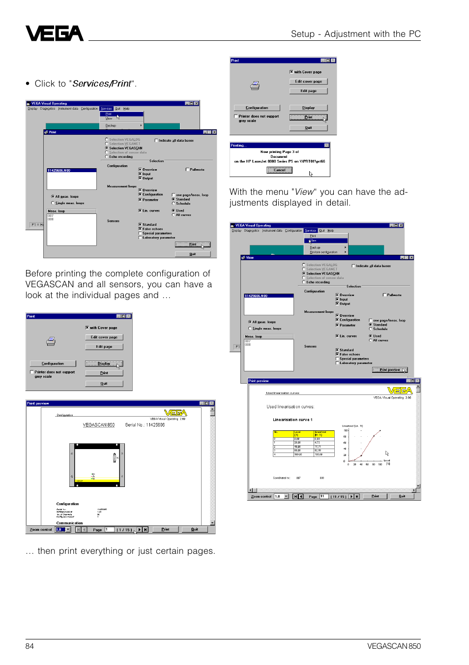 VEGA VEGASCAN 850 User Manual | Page 84 / 92