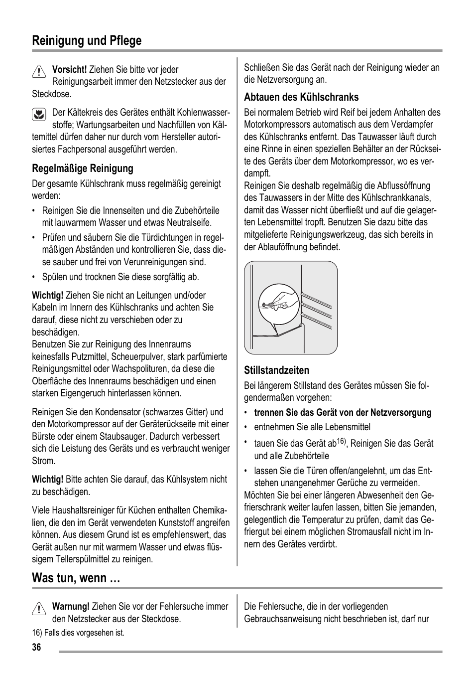 Reinigung und pflege, Was tun, wenn | ZANKER ZKK 8023 User Manual | Page 36 / 44